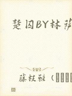 楚囚BY林萨