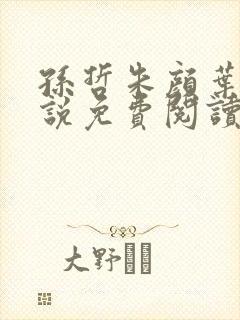 孙哲朱颜叶巧小说免费阅读笔趣阁