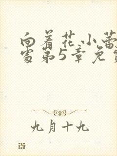 向着花小蕾的深处第5章免费阅读