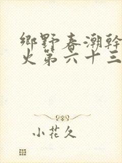 乡野春潮干柴烈火第六十三章