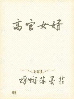 高官女婿