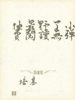 他最野了小说免费阅读无弹窗