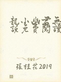 龙小幽君无邪小说免费阅读