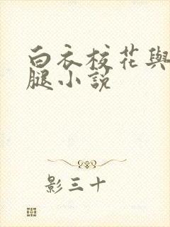 白衣校花与大长腿小说