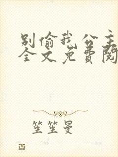 别偷我公主小说全文免费阅读封面