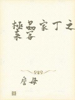极品家丁之远方来客