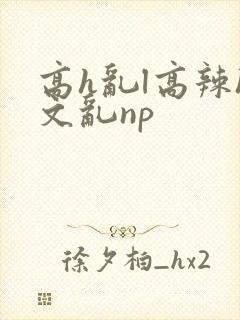 高h乱l高辣h文乱np