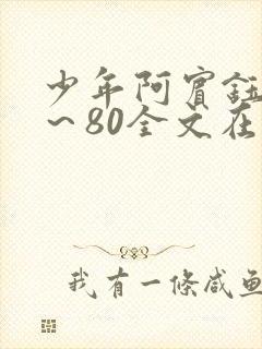 少年阿宾钰慧1～80全文在