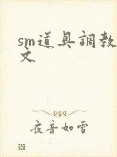 sm道具调教辣文封面