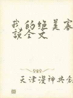 我的绝美寡嫂小说全文