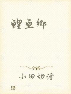 鲤鱼乡封面