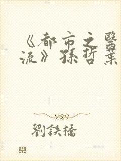 《都市之医武风流》孙哲叶巧朱颜