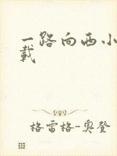 一路向西小说下载