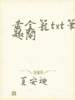 黄金笼txt笔趣阁