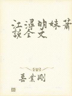 江浔明姝萧峥小说全文封面