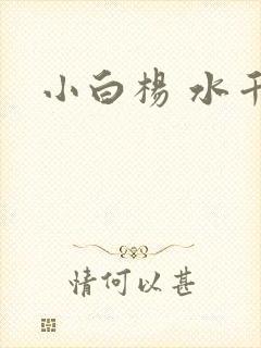 小白杨 水千丞