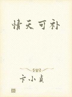 情天可补