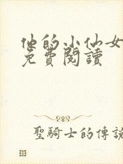 他的小仙女小说免费阅读