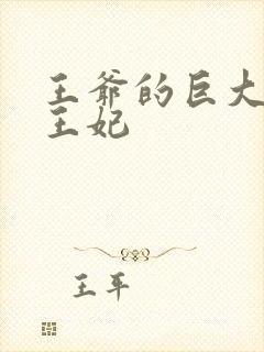 王爷的巨大进入王妃封面