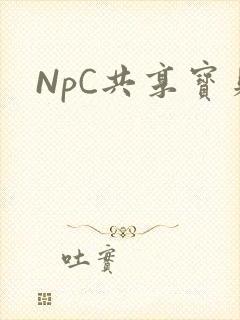 NpC共享宝贝