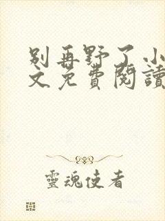 别再野了小说全文免费阅读无弹窗封面