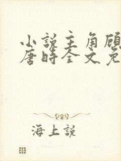 小说主角顾倾城唐时全文免费阅读封面