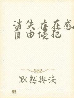 消失存在感消失自由侵犯封面