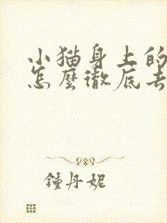 小猫身上的跳蚤怎么彻底去除
