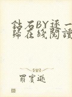钻石BY逐一而归在线阅读