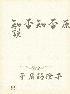 知否知否原著小说封面