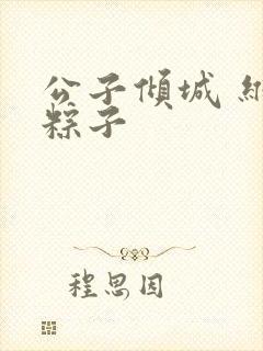公子倾城 维和粽子