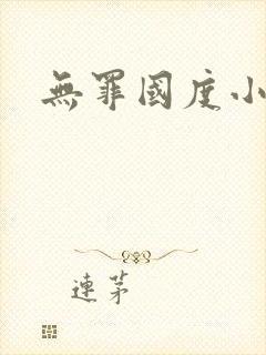 无罪国度小说