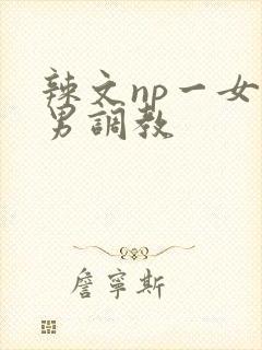 辣文np一女多男调教