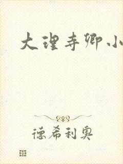 大理寺卿小说
