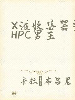 X液收集器系统HPC男主