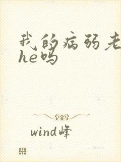 我的病弱老婆是he吗