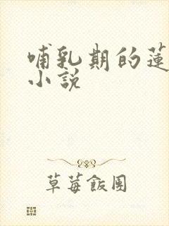 哺乳期的莲儿 小说