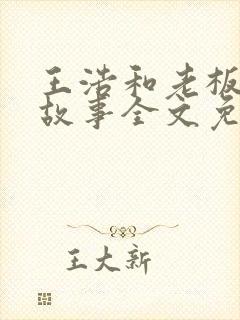 王浩和老板娘的故事全文免费阅读封面