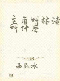主角叫林浩小说叫什么