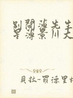 别闹薄先生沈繁星薄景川大全