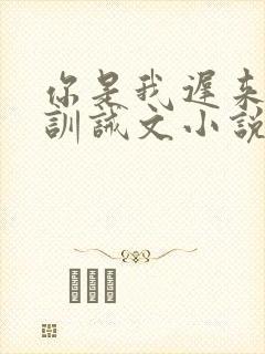 你是我迟来的光训诫文小说在线阅读