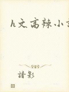 h文高辣小说封面