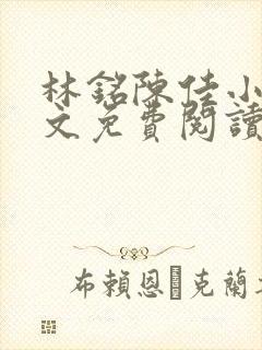 林铭陈佳小说全文免费阅读最新章节封面