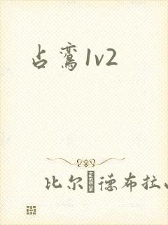 占鸾1v2