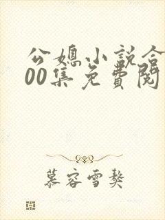 公媳小说合集100集免费阅读全文