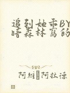 追到她乖BY黑暗森林写的小说
