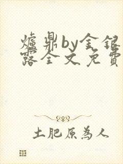 炉鼎by金银花露全文免费阅读笔趣阁