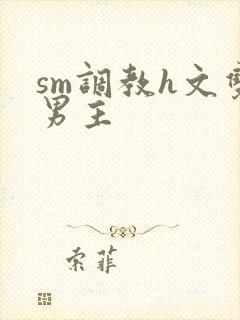 sm调教h文双男主