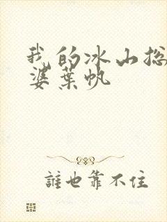 我的冰山总裁老婆叶帆