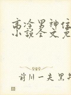 高冷男神住隔壁小说全文免费阅读